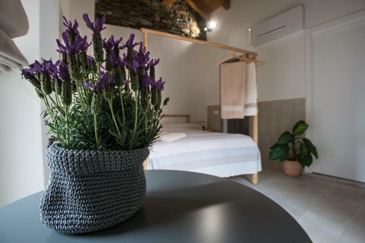 Guest House Seme Di Faggio Miasino 외부 사진